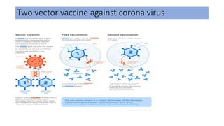 Two vector vaccine against corona virus
 
