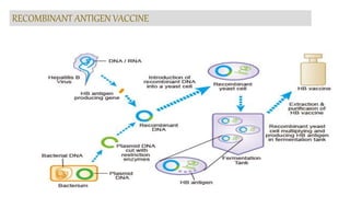 RECOMBINANT ANTIGEN VACCINE
 