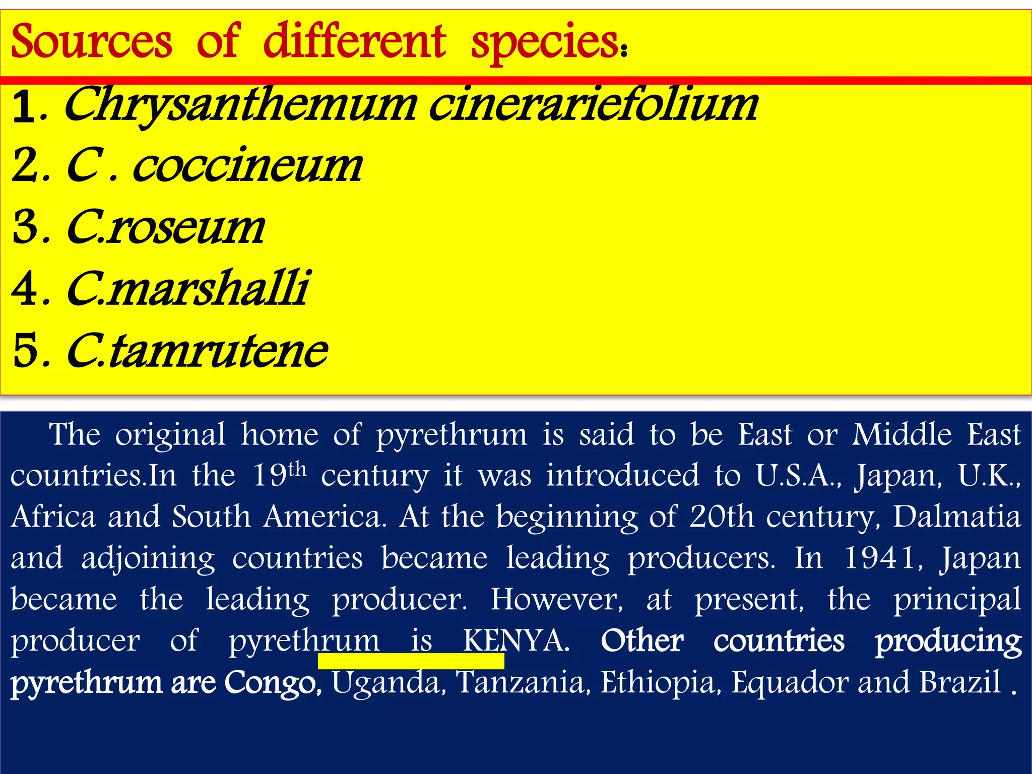 Sources of different species: 
1. Chrysanthemum cinerariefolium 
2. C . coccineum 
3. C.roseum 
4. C.marshalli 
5. C.tamrutene 
The original home of pyrethrum is said to be East or Middle East 
countries.In the 19th century it was introduced to U.S.A., Japan, U.K., 
Africa and South America. At the beginning of 20th century, Dalmatia 
and adjoining countries became leading producers. In 1941, Japan 
became the leading producer. However, at present, the principal 
producer of pyrethrum is KENYA. Other countries producing 
pyrethrum are Congo, Uganda, Tanzania, Ethiopia, Equador and Brazil . 
 