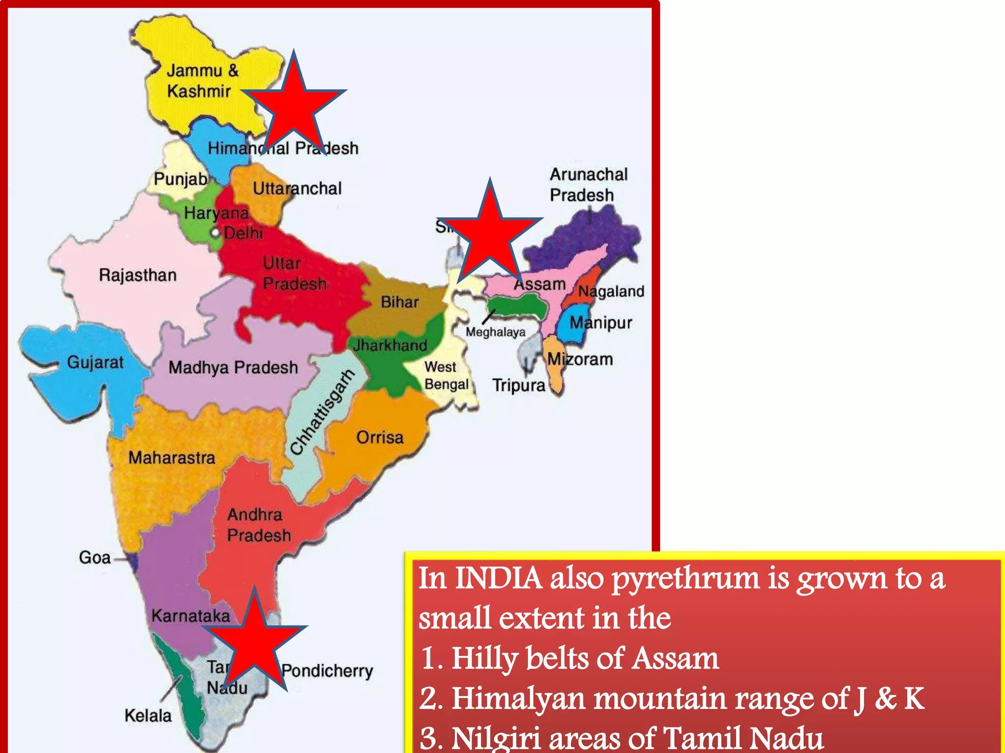 In INDIA also pyrethrum is grown to a 
small extent in the 
1. Hilly belts of Assam 
2. Himalyan mountain range of J & K 
3. Nilgiri areas of Tamil Nadu 
 