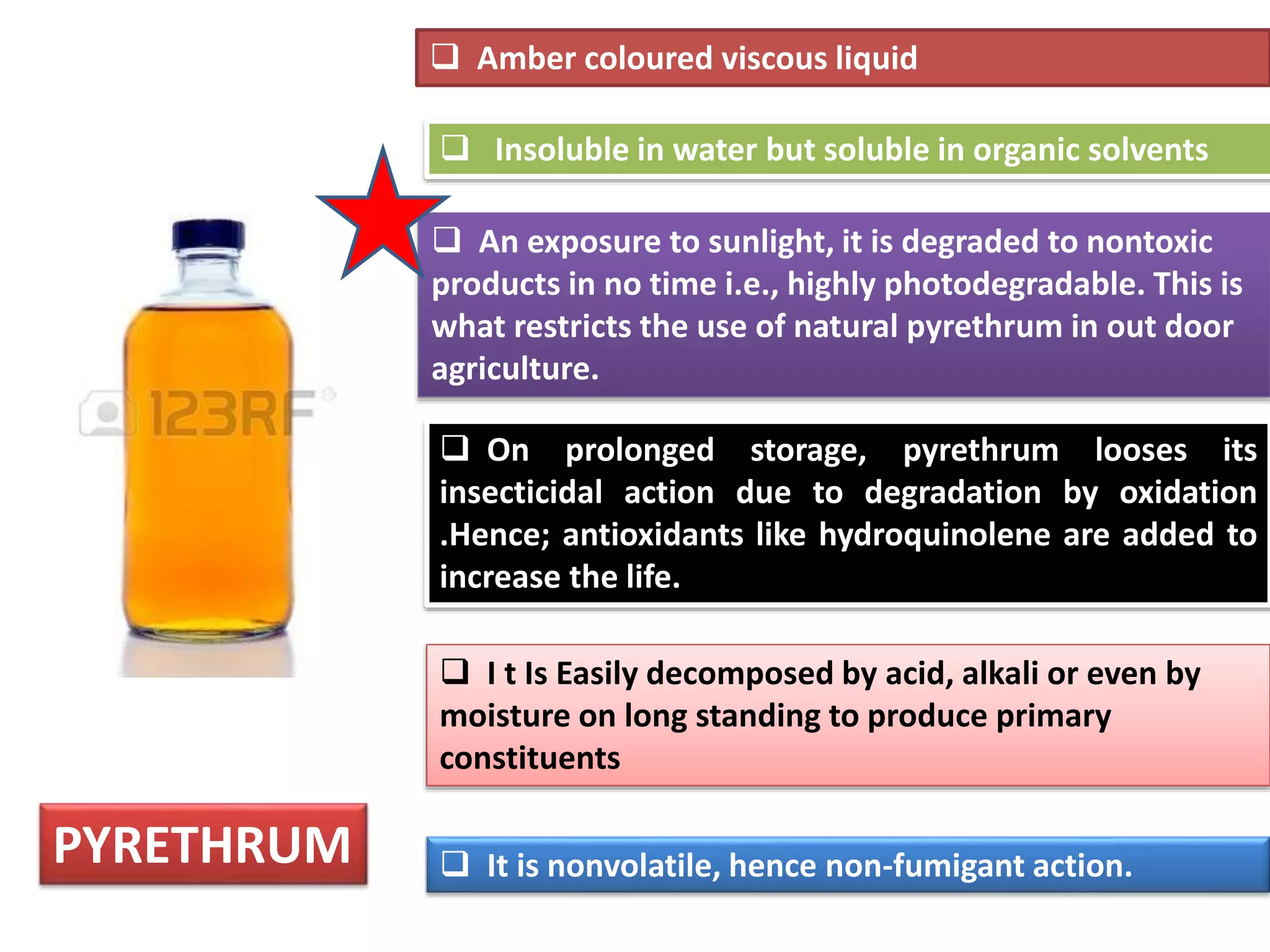 PYRETHRUM 
 Amber coloured viscous liquid 
 Insoluble in water but soluble in organic solvents 
 An exposure to sunlight, it is degraded to nontoxic 
products in no time i.e., highly photodegradable. This is 
what restricts the use of natural pyrethrum in out door 
agriculture. 
 On prolonged storage, pyrethrum looses its 
insecticidal action due to degradation by oxidation 
.Hence; antioxidants like hydroquinolene are added to 
increase the life. 
 I t Is Easily decomposed by acid, alkali or even by 
moisture on long standing to produce primary 
constituents 
 It is nonvolatile, hence non-fumigant action. 
 