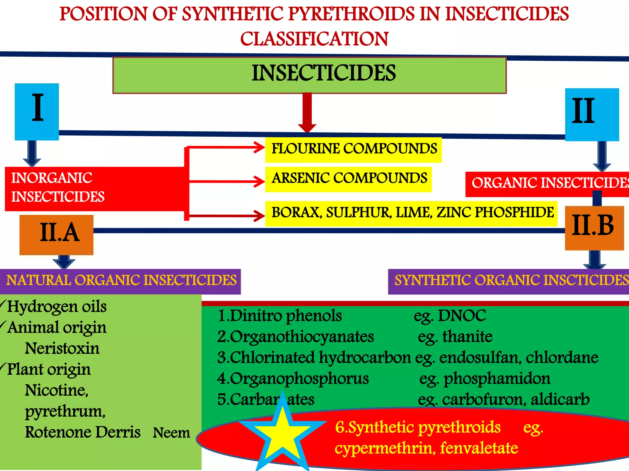POSITION OF SYNTHETIC PYRETHROIDS IN INSECTICIDES 
CLASSIFICATION 
INSECTICIDES 
I II 
INORGANIC 
INSECTICIDES 
FLOURINE COMPOUNDS 
ARSENIC COMPOUNDS 
BORAX, SULPHUR, LIME, ZINC PHOSPHIDE 
ORGANIC INSECTICIDES 
II.A II.B 
NATURAL ORGANIC INSECTICIDES SYNTHETIC ORGANIC INSCTICIDES 
1.Dinitro phenols eg. DNOC 
2.Organothiocyanates eg. thanite 
3.Chlorinated hydrocarbon eg. endosulfan, chlordane 
4.Organophosphorus eg. phosphamidon 
5.Carbamates eg. carbofuron, aldicarb 
Hydrogen oils 
Animal origin 
Neristoxin 
Plant origin 
Nicotine, 
pyrethrum, 
Rotenone Derris Neem 6.Synthetic pyrethroids eg. 
cypermethrin, fenvaletate 
 