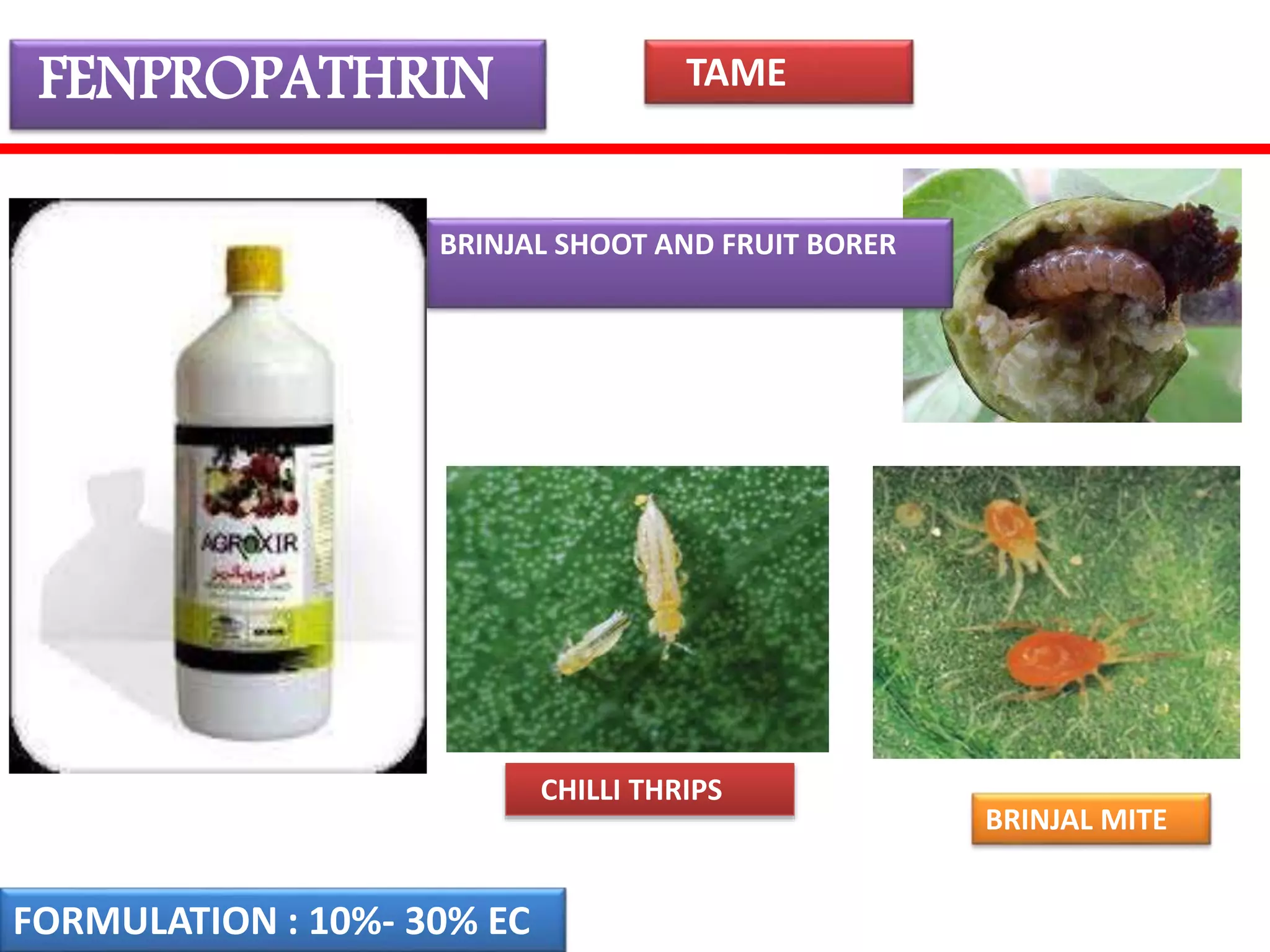 FENPROPATHRIN 
BRINJAL SHOOT AND FRUIT BORER 
BRINJAL MITE 
CHILLI THRIPS 
FORMULATION : 10%- 30% EC 
TAME 
 