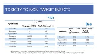 TOXICITY TO NON-TARGET INSECTS
Fish
Bee
i. Noritada Matsuo & Tatsuya Mori, Pyrethroids:From Chrysanthemumto Modern Industrial Insecticide, 2012, Ch.1
i. F. Antwi, V. P. Reddy, Toxicology effects of pyrethroids on non-target aquatic insects, Environmental Toxicology and Pharmacology, September 2015
Pyrethroids
LC50 Value
Carp(ppm/48 h) Daphnid(ppm/3 h)
Silafluofen >100 7.66
Etofenprox 5 40
Cycloprothrin 8 >10
Fenvalerate 0.00075 0.3
Permethrin 0.043 >10
Cyfluthrin 0.012 0.94
Tralomethrin 0.008 0.22
Fluvalinate 0.00048 0.298
Pyrethroid
Acute Oral
LD50
(μg a.i./bee )
Acute Contact
LD50 (μg
a.i./bee )
Bifenthrin 0.01 0.002
Cypermethrin 0.03 0.02
Deltamethrin 0.08 0.001
Permethrin 0.03 0.1
 