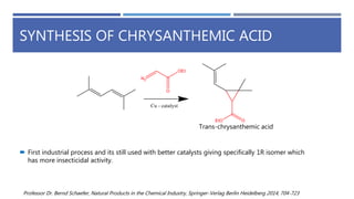 SYNTHESIS OF CHRYSANTHEMIC ACID
Trans-chrysanthemic acid
 First industrial process and its still used with better catalysts giving specifically 1R isomer which
has more insecticidal activity.
Professor Dr. Bernd Schaefer, Natural Products in the Chemical Industry, Springer-Verlag Berlin Heidelberg 2014, 704-723
 