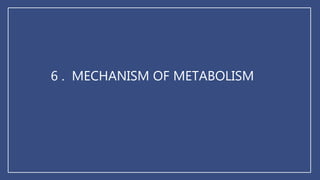 6 . MECHANISM OF METABOLISM
 