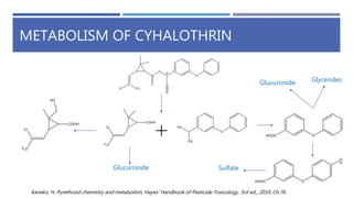 METABOLISM OF CYHALOTHRIN
Glucuronide
Glucuronide Glycerides
Sulfate
Kaneko, H. Pyrethroid chemistry and metabolism, Hayes’ Handbook of Pesticide Toxicology, 3rd ed., 2010; Ch.76.
 
