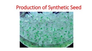 Production of Synthetic Seed
 
