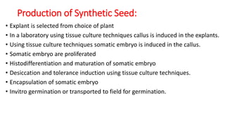 Production of Synthetic Seed:
• Explant is selected from choice of plant
• In a laboratory using tissue culture techniques callus is induced in the explants.
• Using tissue culture techniques somatic embryo is induced in the callus.
• Somatic embryo are proliferated
• Histodifferentiation and maturation of somatic embryo
• Desiccation and tolerance induction using tissue culture techniques.
• Encapsulation of somatic embryo
• Invitro germination or transported to field for germination.
 