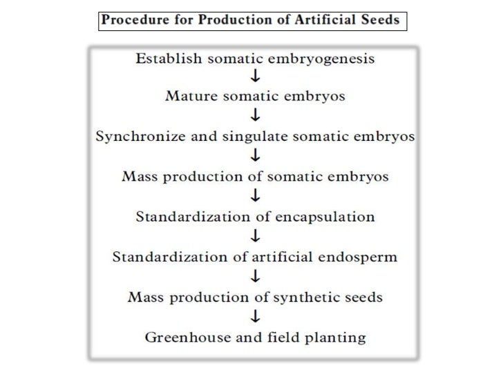 synthetic seed production by parvati pujar tissue culture flow chart