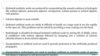 15/25
 Hydrated synthetic seeds are produced by encapsulating the somatic embryos in hydrogels
like sodium alginate, potassium alginate, carrageenan, sodium pectate or sodium alginate
with gelatine.
 Calcium alginate is most suitable.
 Hydrated artificial seeds are sticky & difficult to handle on a large scale & are dry rapidly
in the open air. This problems can be solved by providing a waxy coating over the bead.
 Redenbergh et.al(1986) developed hydrated artificial seeds by mixing SE of alfalfa, celery
& cauliflower with sodium alginate followed by dropping into a solution of calcium
chloride/nitrate to form calcium-alginate.
 Encapsulation or artificial seed are used to provide protection to the artificially produced
propagules.
 Encapsulation technologies are used to produce artificial or synthetic seeds of species
belonging to angiosperm and gymnosperm families.
 