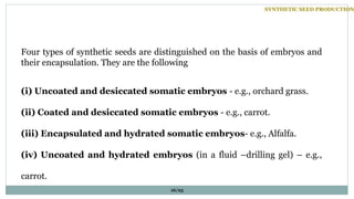 Four types of synthetic seeds are distinguished on the basis of embryos and
their encapsulation. They are the following
(i) Uncoated and desiccated somatic embryos - e.g., orchard grass.
(ii) Coated and desiccated somatic embryos - e.g., carrot.
(iii) Encapsulated and hydrated somatic embryos- e.g., Alfalfa.
(iv) Uncoated and hydrated embryos (in a fluid –drilling gel) – e.g.,
carrot.
SYNTHETIC SEED PRODUCTION
16/25
 