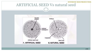 SYNTHETIC SEED PRODUCTION.............pptx