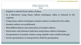 PROTOCOL
6/25
 Explant is selected from choice of plant.
 In a laboratory using tissue culture techniques callus is induced in the
explants.
 Using tissue culture techniques somatic embryo is induced in the callus.
 Somatic embryo are proliferated.
 Histodifferentiation and maturation of somatic embryo.
 Desiccation and tolerance induction using tissue culture techniques.
 Encapsulation of somatic embryo using suitable water soluble hydrogel.
 Invitro germination or transported to field for germination.
SYNTHETIC SEED PRODUCTION
 