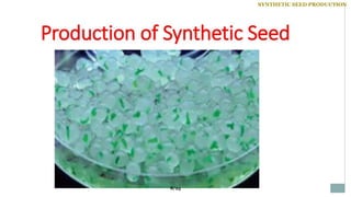 SYNTHETIC SEED PRODUCTION
8/25
 