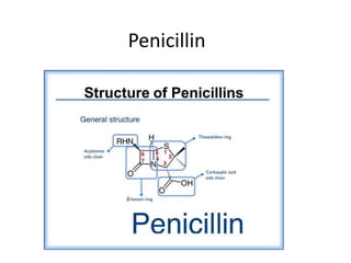 Penicillin
 