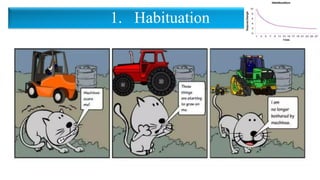 1. Habituation
 