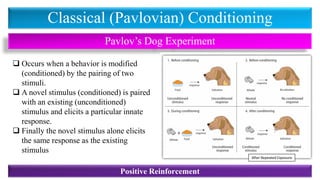 Classical (Pavlovian) Conditioning
Pavlov’s Dog Experiment
❑ Occurs when a behavior is modified
(conditioned) by the pairing of two
stimuli.
❑ A novel stimulus (conditioned) is paired
with an existing (unconditioned)
stimulus and elicits a particular innate
response.
❑ Finally the novel stimulus alone elicits
the same response as the existing
stimulus
After Repeated Exposure
Positive Reinforcement
 