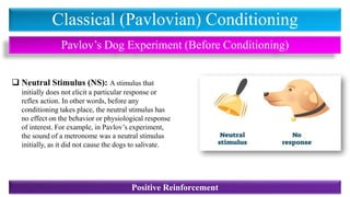Classical (Pavlovian) Conditioning
Pavlov’s Dog Experiment (Before Conditioning)
❑ Neutral Stimulus (NS): A stimulus that
initially does not elicit a particular response or
reflex action. In other words, before any
conditioning takes place, the neutral stimulus has
no effect on the behavior or physiological response
of interest. For example, in Pavlov’s experiment,
the sound of a metronome was a neutral stimulus
initially, as it did not cause the dogs to salivate.
Positive Reinforcement
 