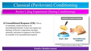 Classical (Pavlovian) Conditioning
Pavlov’s Dog Experiment (During Conditioning)
❑ Unconditioned Response (UR): This is
an automatic, innate reaction to an
unconditioned stimulus. It does not require any
learning. In Pavlov’s experiment, the dogs’
automatic salivation in response to the food is
an example of an unconditioned response.
Positive Reinforcement
Repeat Exposure Again & Again
 