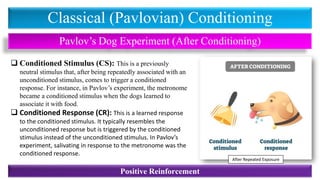 Classical (Pavlovian) Conditioning
Pavlov’s Dog Experiment (After Conditioning)
❑ Conditioned Stimulus (CS): This is a previously
neutral stimulus that, after being repeatedly associated with an
unconditioned stimulus, comes to trigger a conditioned
response. For instance, in Pavlov’s experiment, the metronome
became a conditioned stimulus when the dogs learned to
associate it with food.
❑ Conditioned Response (CR): This is a learned response
to the conditioned stimulus. It typically resembles the
unconditioned response but is triggered by the conditioned
stimulus instead of the unconditioned stimulus. In Pavlov’s
experiment, salivating in response to the metronome was the
conditioned response.
Positive Reinforcement
After Repeated Exposure
 