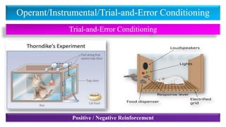Operant/Instrumental/Trial-and-Error Conditioning
Trial-and-Error Conditioning
Positive / Negative Reinforcement
 