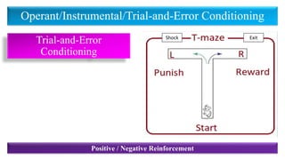 Operant/Instrumental/Trial-and-Error Conditioning
Trial-and-Error
Conditioning
Positive / Negative Reinforcement
Shock Exit
 