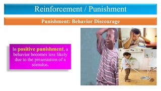 Reinforcement / Punishment
In positive punishment, a
behavior becomes less likely
due to the presentation of a
stimulus.
Punishment: Behavior Discourage
 
