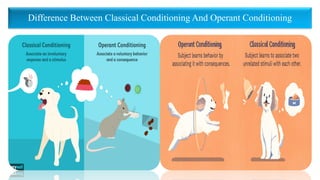 Difference Between Classical Conditioning And Operant Conditioning
 