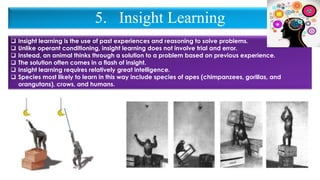 5. Insight Learning
❑ Insight learning is the use of past experiences and reasoning to solve problems.
❑ Unlike operant conditioning, insight learning does not involve trial and error.
❑ Instead, an animal thinks through a solution to a problem based on previous experience.
❑ The solution often comes in a flash of insight.
❑ Insight learning requires relatively great intelligence.
❑ Species most likely to learn in this way include species of apes (chimpanzees, gorillas, and
orangutans), crows, and humans.
 