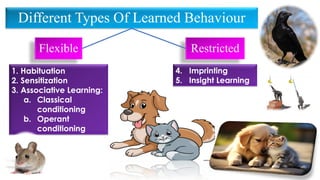 1. Habituation
2. Sensitization
3. Associative Learning:
a. Classical
conditioning
b. Operant
conditioning
Different Types Of Learned Behaviour
Flexible Restricted
4. Imprinting
5. Insight Learning
 