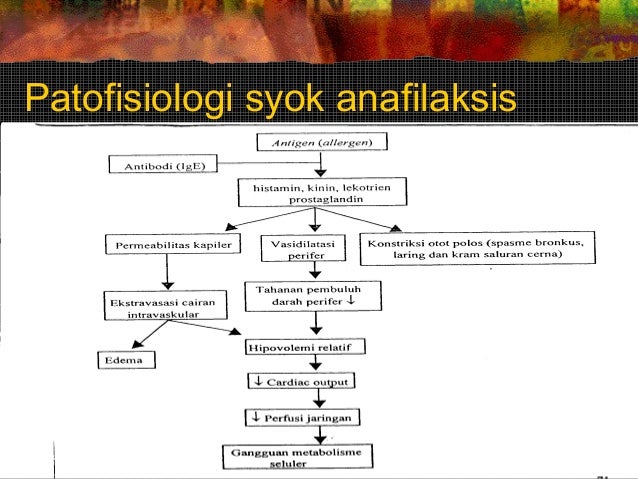 Syok Anafilaksis