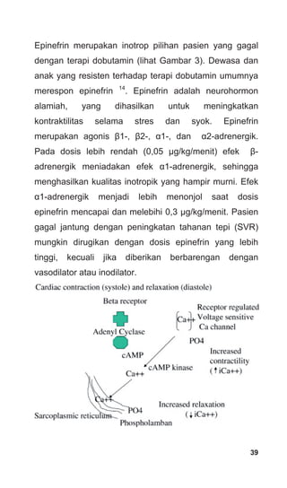 Epinefrin merupakan inotrop pilihan pasien yang gagal
dengan terapi dobutamin (lihat Gambar 3). Dewasa dan
anak yang resisten terhadap terapi dobutamin umumnya
merespon epinefrin 14
. Epinefrin adalah neurohormon
alamiah, yang dihasilkan untuk meningkatkan
kontraktilitas selama stres dan syok. Epinefrin
merupakan agonis β1-, β2-, α1-, dan α2-adrenergik.
Pada dosis lebih rendah (0,05 μg/kg/menit) efek β-
adrenergik meniadakan efek α1-adrenergik, sehingga
menghasilkan kualitas inotropik yang hampir murni. Efek
α1-adrenergik menjadi lebih menonjol saat dosis
epinefrin mencapai dan melebihi 0,3 μg/kg/menit. Pasien
gagal jantung dengan peningkatan tahanan tepi (SVR)
mungkin dirugikan dengan dosis epinefrin yang lebih
tinggi, kecuali jika diberikan berbarengan dengan
vasodilator atau inodilator.
39
 