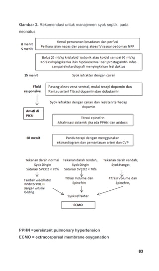Gambar 2. Rekomendasi untuk manajemen syok septik pada
neonatus
PPHN =persistent pulmonary hypertension
ECMO = extracorporeal membrane oxygenation
83
 