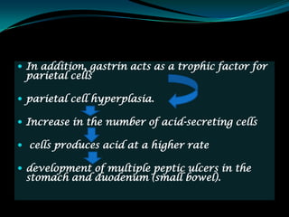  In addition, gastrin acts as a trophic factor for
 parietal cells

 parietal cell hyperplasia.

 Increase in the number of acid-secreting cells

 cells produces acid at a higher rate

 development of multiple peptic ulcers in the
 stomach and duodenum (small bowel).
 