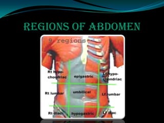 REGIONS OF ABDOMEN
 