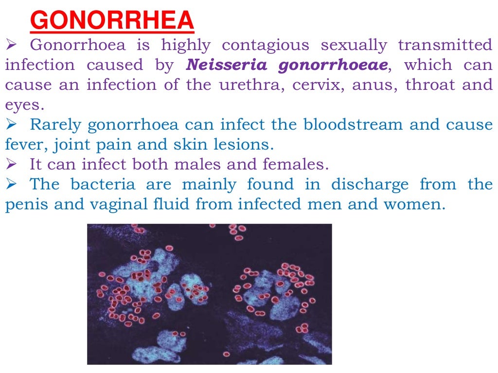 SYPHILIS & GONORRHOEA