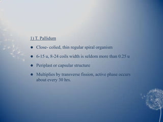 1) T. Pallidum
   Close- colied, thin regular spiral organism
   6-15 u, 8-24 coils width is seldom more than 0.25 u
   Periplast or capsular structure
   Multiplies by transverse fission, active phase occurs
    about every 30 hrs.
 
