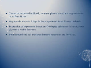    Cannot be recovered in blood , serum or plasma stored at 4 degree celcius
    more than 48 hrs.
   May remain alive for 5 days in tissue specimens from diseased animals.

   Suspension of treponemes frozen at (-70 degree celcius) or lower frozenin
    glycerol is viable for years.
   Both humoral and cell-mediated immune responses are involved.
 