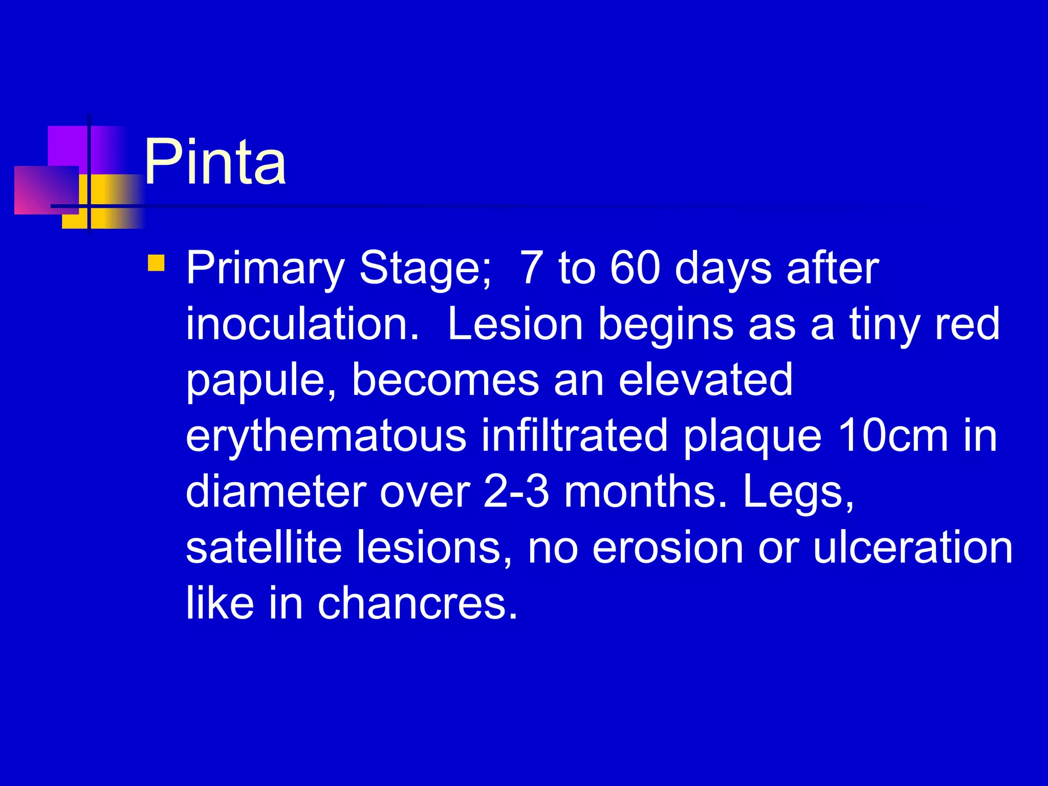 Pinta
 Primary Stage; 7 to 60 days after
inoculation. Lesion begins as a tiny red
papule, becomes an elevated
erythematous infiltrated plaque 10cm in
diameter over 2-3 months. Legs,
satellite lesions, no erosion or ulceration
like in chancres.
 