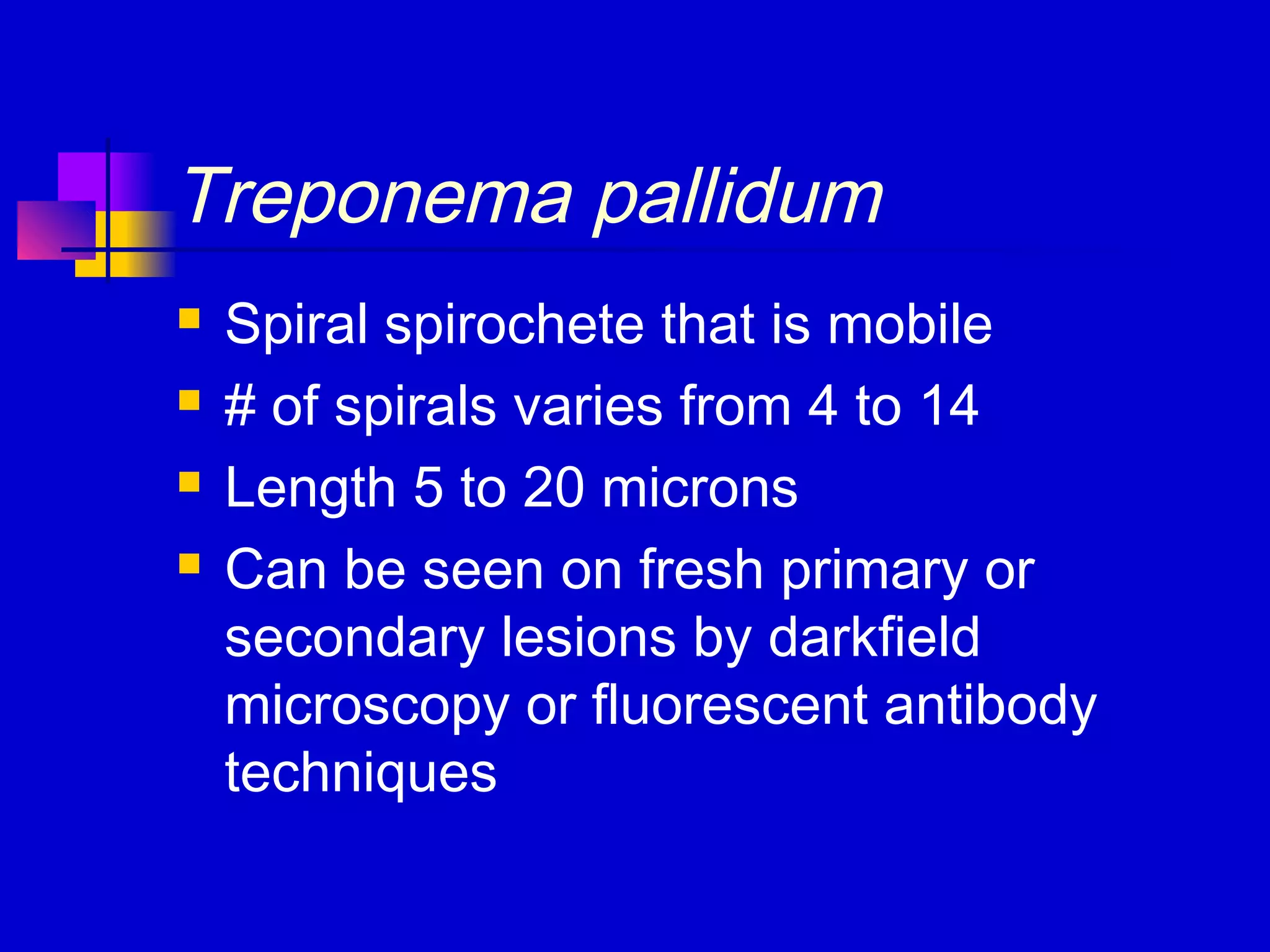 Treponema pallidum
 Spiral spirochete that is mobile
 # of spirals varies from 4 to 14
 Length 5 to 20 microns
 Can be seen on fresh primary or
secondary lesions by darkfield
microscopy or fluorescent antibody
techniques
 