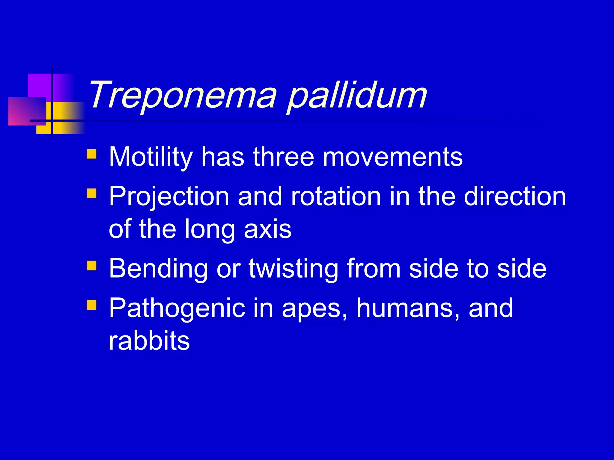 Treponema pallidum
 Motility has three movements
 Projection and rotation in the direction
of the long axis
 Bending or twisting from side to side
 Pathogenic in apes, humans, and
rabbits
 