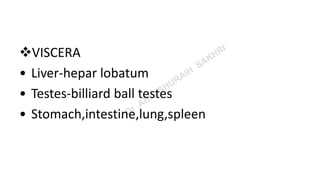 VISCERA
• Liver-hepar lobatum
• Testes-billiard ball testes
• Stomach,intestine,lung,spleen
 