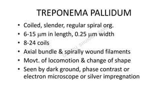 TREPONEMA PALLIDUM
• Coiled, slender, regular spiral org.
• 6-15 m in length, 0.25 m width
• 8-24 coils
• Axial bundle & spirally wound filaments
• Movt. of locomotion & change of shape
• Seen by dark ground, phase contrast or
electron microscope or silver impregnation
 