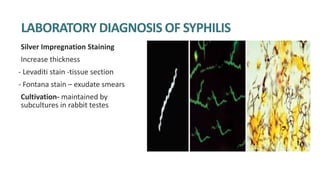 LABORATORY DIAGNOSIS OF SYPHILIS
Silver Impregnation Staining
Increase thickness
- Levaditi stain -tissue section
- Fontana stain – exudate smears
Cultivation- maintained by
subcultures in rabbit testes
 