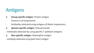 Antigens
1. Group-specific antigen: Protein antigen
- Present in all treponemes
- Antibodies detected using antigens of Reiter treponemes.
1. Species-specific antigen: Polysaccharide
- Antibodies detected by using specific T. pallidum antigens
1. Non-specific antigen: Heterophile antigen
- Antibody detected using beef heart antigen
 