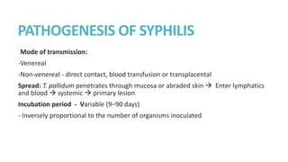 PATHOGENESIS OF SYPHILIS
Mode of transmission:
-Venereal
-Non-venereal - direct contact, blood transfusion or transplacental
Spread: T. pallidum penetrates through mucosa or abraded skin  Enter lymphatics
and blood  systemic  primary lesion
Incubation period - Variable (9–90 days)
- Inversely proportional to the number of organisms inoculated
 