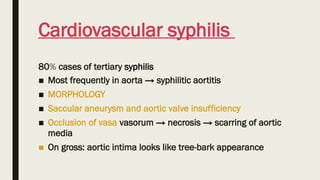 Brief Information about the Disease Syphilis | PPTX