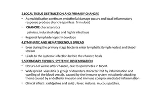 Comprehensive Overview of Syphilis: Causes, Stages, Diagnosis, and ...
