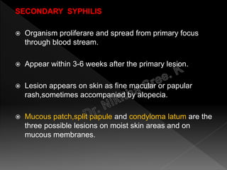 SECONDARY SYPHILIS
 Organism proliferare and spread from primary focus
through blood stream.
 Appear within 3-6 weeks after the primary lesion.
 Lesion appears on skin as fine macular or papular
rash,sometimes accompanied by alopecia.
 Mucous patch,split papule and condyloma latum are the
three possible lesions on moist skin areas and on
mucous membranes.
 